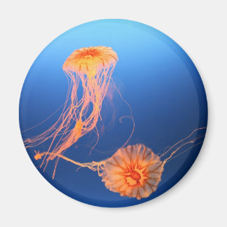 Zusammenschwebend Magnet