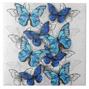 Zusammensetzung der weißen und blauen Schmetterlin Fliese
