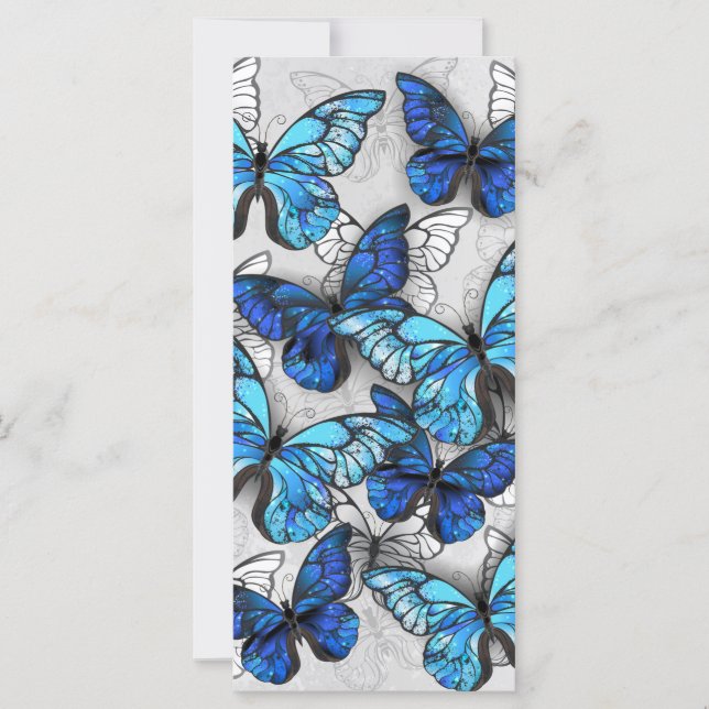 Zusammensetzung von White und Blue Butterflies (Vorderseite)