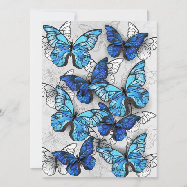 Zusammensetzung von White und Blue Butterflies (Vorderseite)