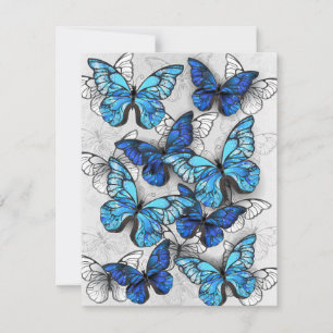 Zusammensetzung von White und Blue Butterflies