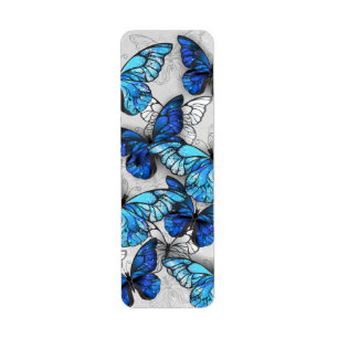 Zusammensetzung von White und Blue Butterflies