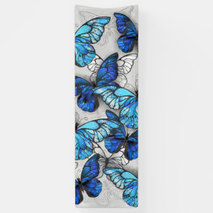 Zusammensetzung von White und Blue Butterflies Banner