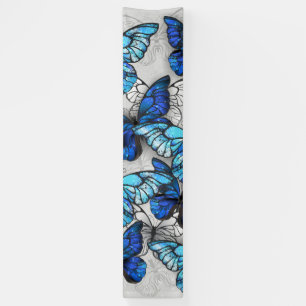 Zusammensetzung von White und Blue Butterflies Banner