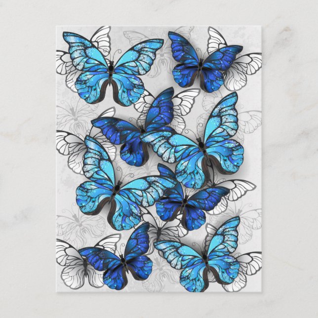 Zusammensetzung von White und Blue Butterflies Begleitkarte (Vorderseite)