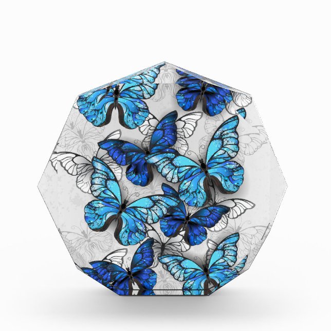 Zusammensetzung von White und Blue Butterflies Fotoblock (Vorderseite)