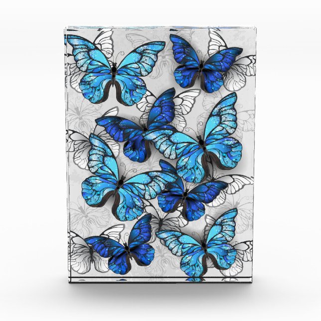 Zusammensetzung von White und Blue Butterflies Fotoblock (Vorderseite)