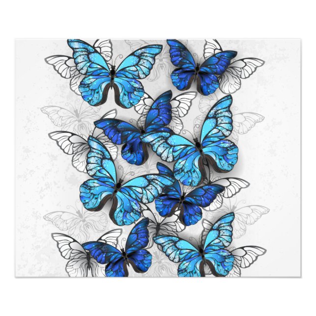 Zusammensetzung von White und Blue Butterflies Fotodruck (Vorne)