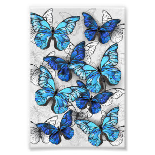 Zusammensetzung von White und Blue Butterflies Fotodruck