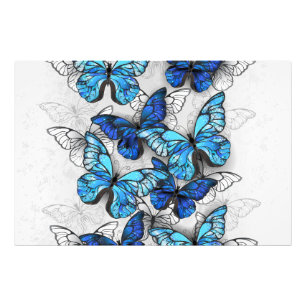 Zusammensetzung von White und Blue Butterflies Fotodruck