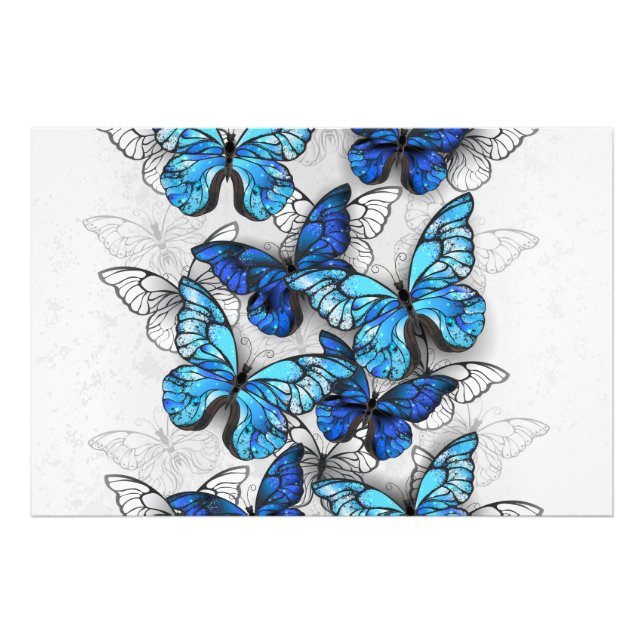 Zusammensetzung von White und Blue Butterflies Fotodruck (Vorne)