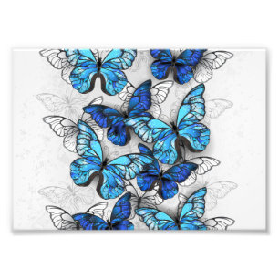 Zusammensetzung von White und Blue Butterflies Fotodruck