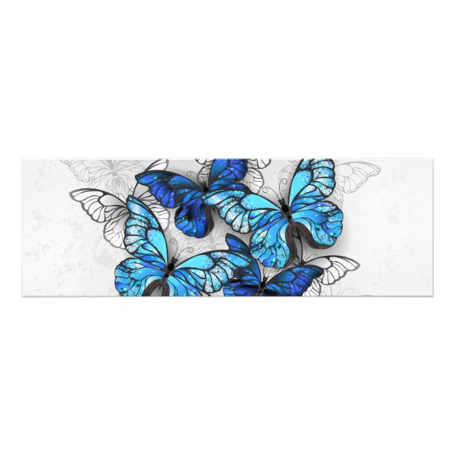 Zusammensetzung von White und Blue Butterflies Fotodruck (Vorne)