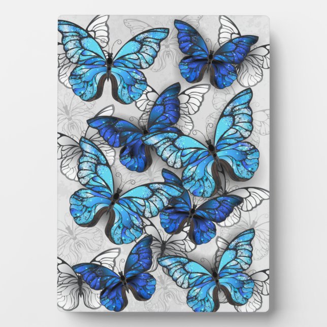 Zusammensetzung von White und Blue Butterflies Fotoplatte (Vorderseite)