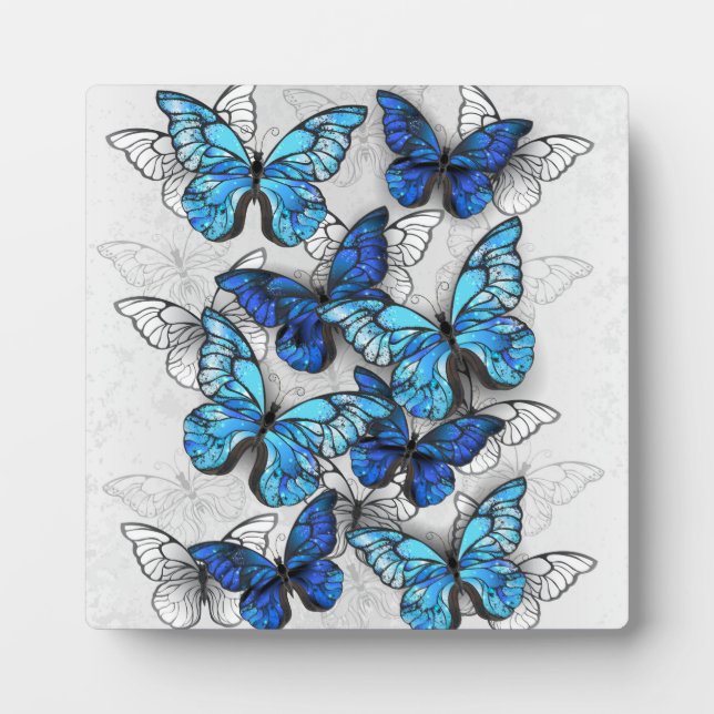 Zusammensetzung von White und Blue Butterflies Fotoplatte (Vorderseite)
