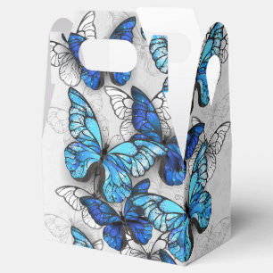 Zusammensetzung von White und Blue Butterflies Geschenkschachtel