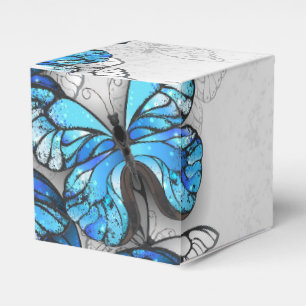 Zusammensetzung von White und Blue Butterflies Geschenkschachtel