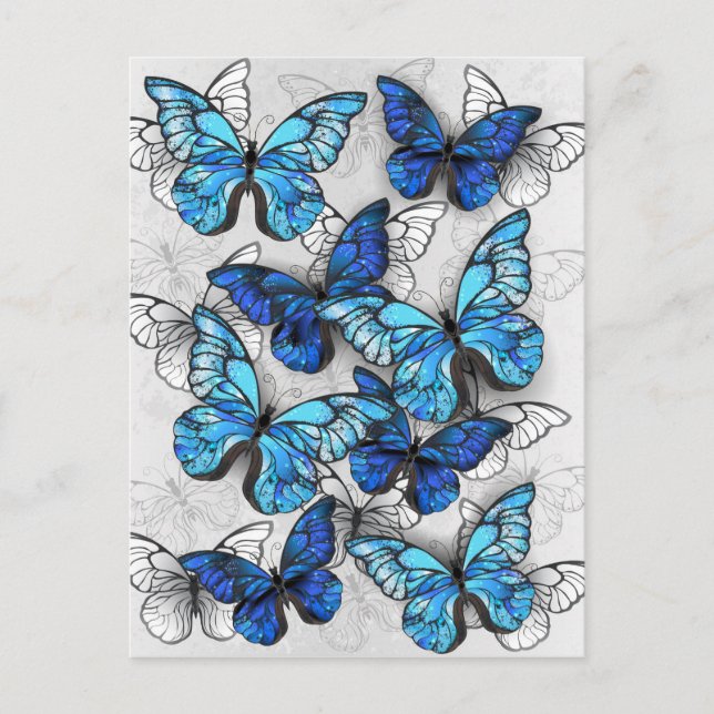Zusammensetzung von White und Blue Butterflies Hinweiskarte (Vorderseite)