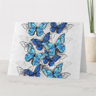 Zusammensetzung von White und Blue Butterflies Karte