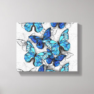 Zusammensetzung von White und Blue Butterflies Leinwanddruck