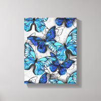Zusammensetzung von White und Blue Butterflies