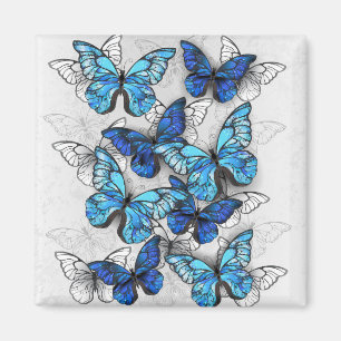 Zusammensetzung von White und Blue Butterflies Magnet