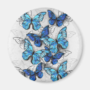 Zusammensetzung von White und Blue Butterflies Magnet