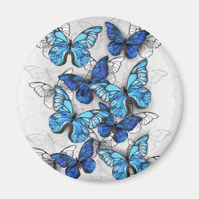 Zusammensetzung von White und Blue Butterflies Magnet (Vorne)