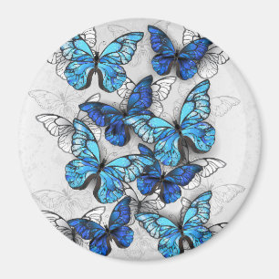 Zusammensetzung von White und Blue Butterflies Magnet