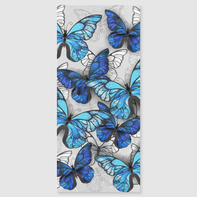 Zusammensetzung von White und Blue Butterflies Magneteinladung (Vorderseite)