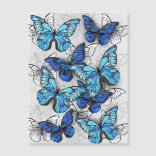 Zusammensetzung von White und Blue Butterflies Magneteinladung