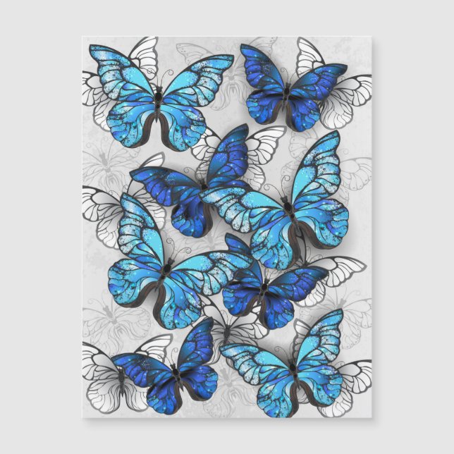 Zusammensetzung von White und Blue Butterflies Magneteinladung (Vorderseite)