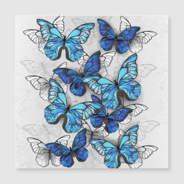 Zusammensetzung von White und Blue Butterflies Magneteinladung (Vorderseite)
