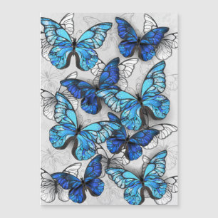 Zusammensetzung von White und Blue Butterflies Magnetkarte