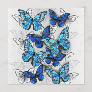 Zusammensetzung von White und Blue Butterflies Menükarte