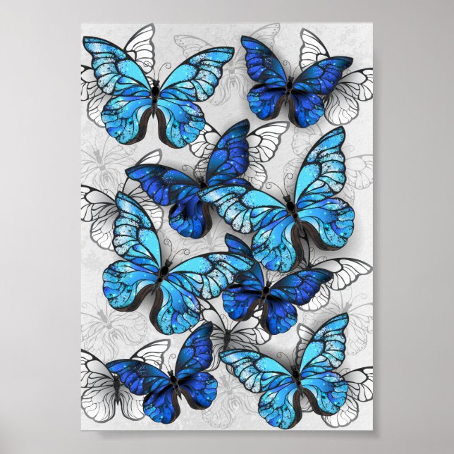 Zusammensetzung von White und Blue Butterflies Poster (Vorne)