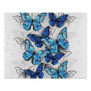 Zusammensetzung von White und Blue Butterflies Poster