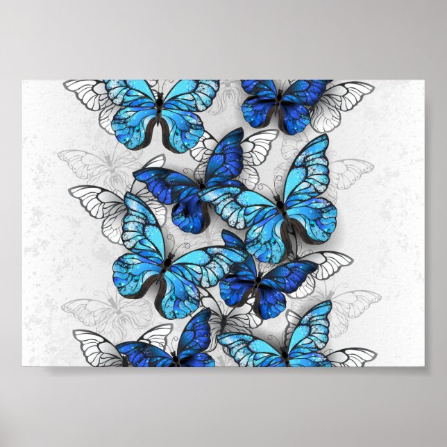 Zusammensetzung von White und Blue Butterflies Poster (Vorne)