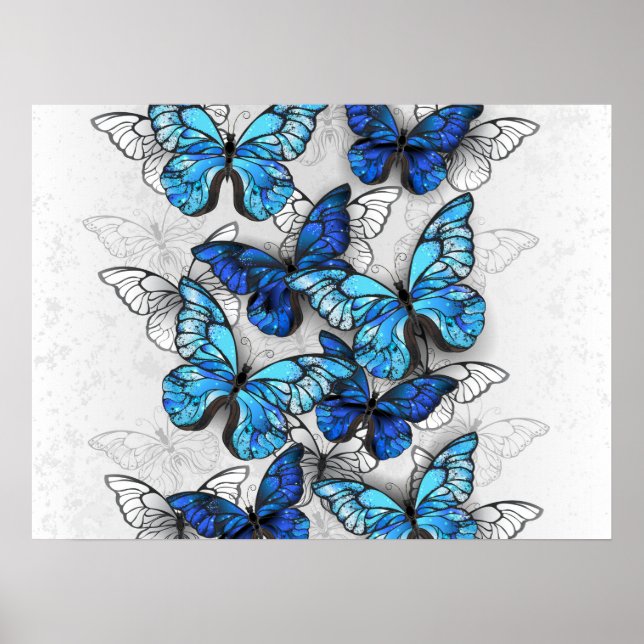 Zusammensetzung von White und Blue Butterflies Poster (Vorne)