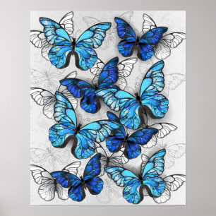 Zusammensetzung von White und Blue Butterflies Poster
