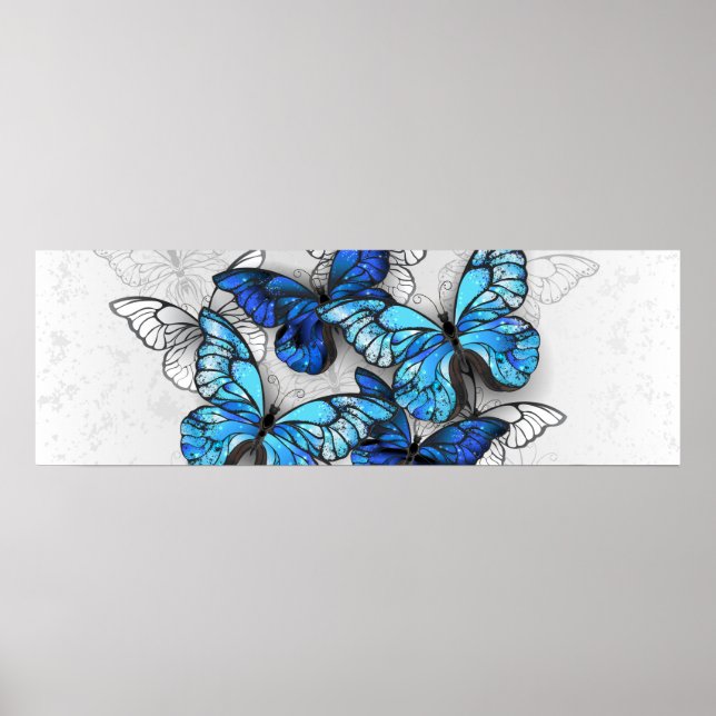 Zusammensetzung von White und Blue Butterflies Poster (Vorne)