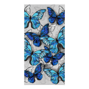 Zusammensetzung von White und Blue Butterflies Poster