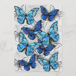 Zusammensetzung von White und Blue Butterflies Programm