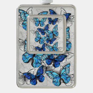 Zusammensetzung von White und Blue Butterflies Rahmen-Ornament Silber