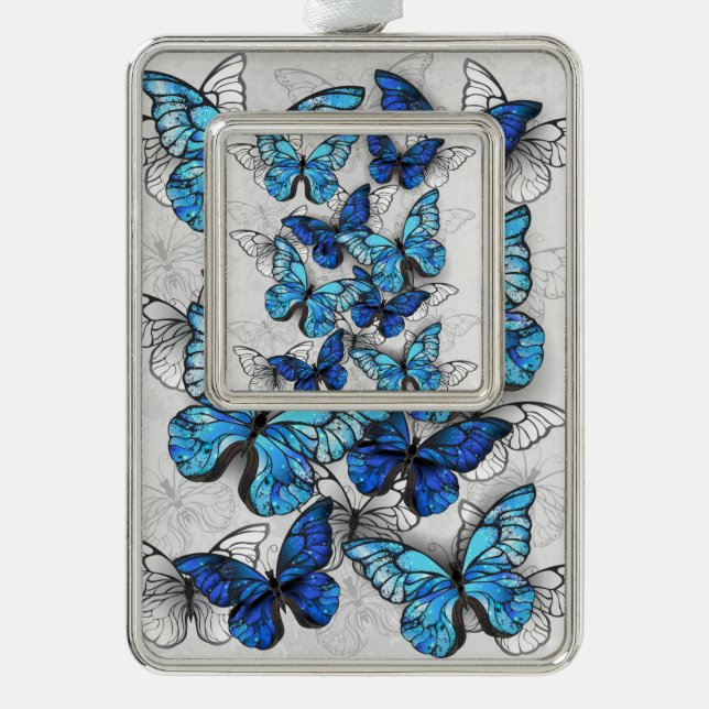 Zusammensetzung von White und Blue Butterflies Rahmen-Ornament Silber (Vorderseite)