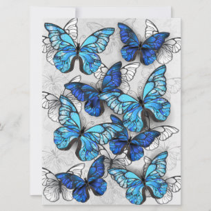 Zusammensetzung von White und Blue Butterflies Save The Date