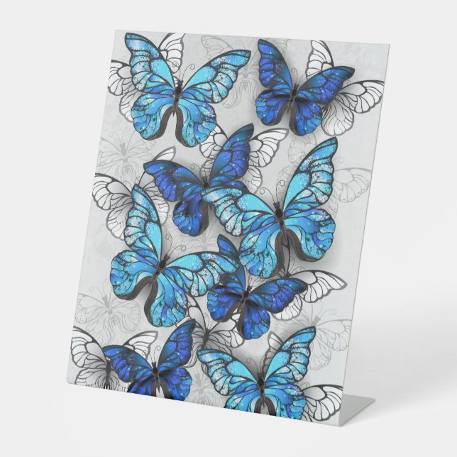 Zusammensetzung von White und Blue Butterflies Sockelschild (Vorderseite)
