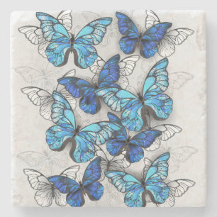 Zusammensetzung von White und Blue Butterflies Steinuntersetzer