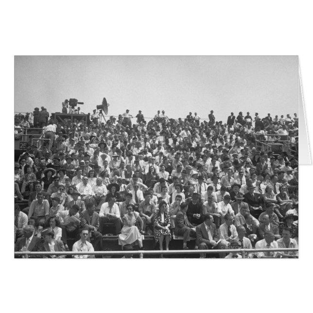 Zuschauer (Vorderseite (Horizontal))