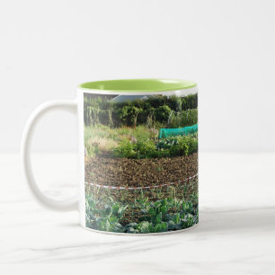 Zuteilung Zweifarbige Tasse